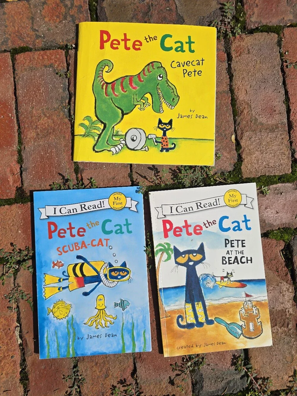 Pete the Cat Kids Book Set Learn To Read Lift The Flap Sticker Books Rhyme